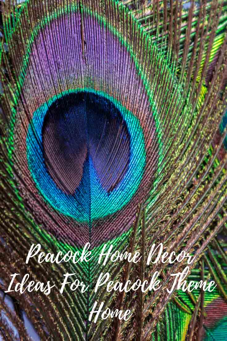 Peacock Home Decor Ideas for peacock theme home