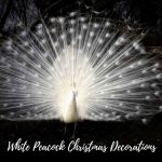 White Peacock Christmas Decorations