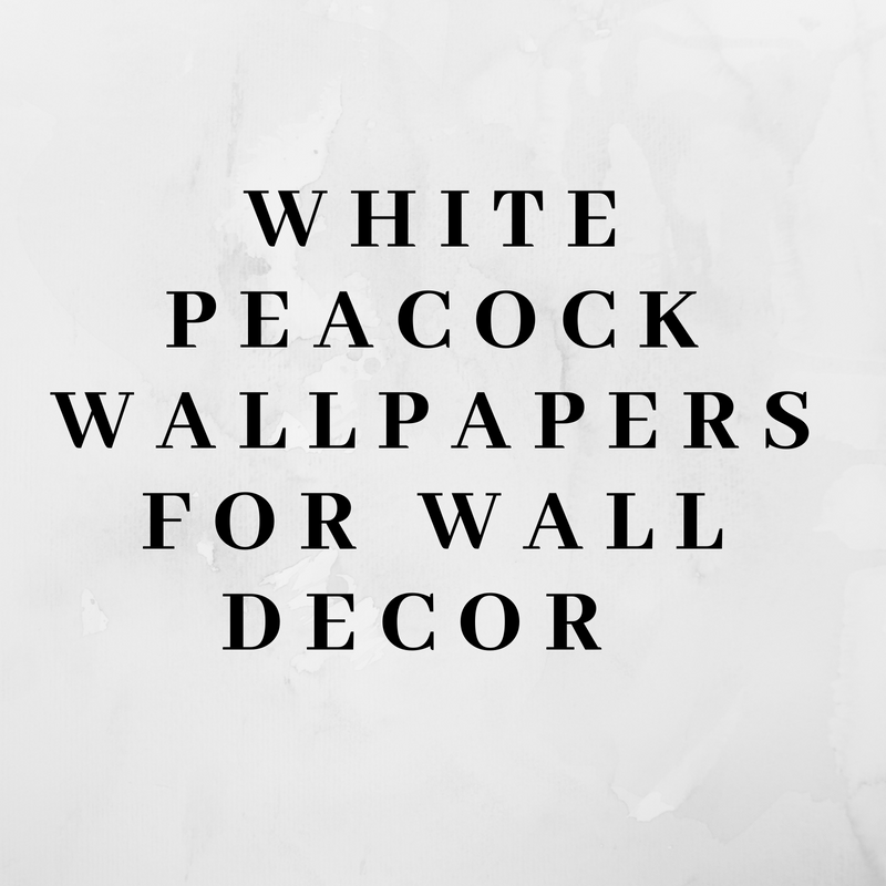 white peacock wallpaper